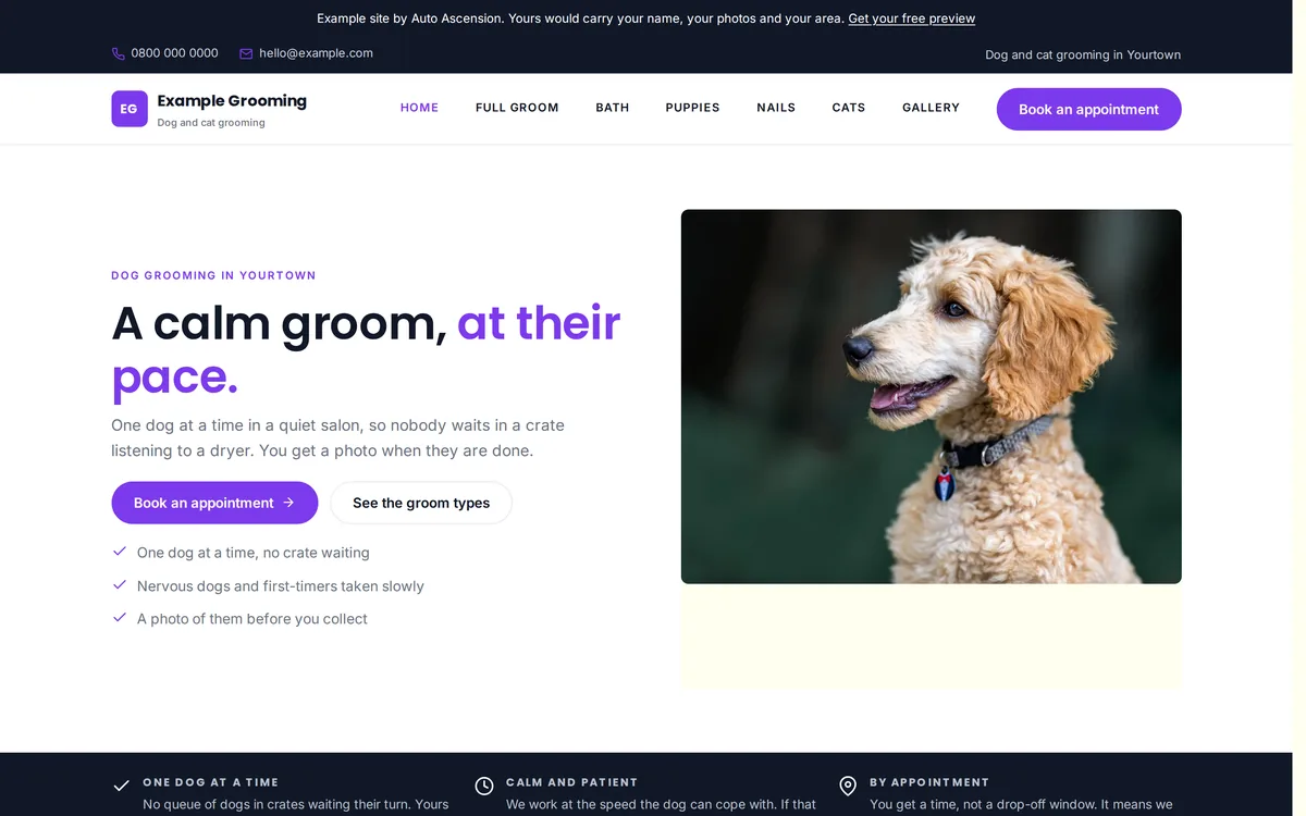 The home page of an example dog and cat grooming website built by Auto Ascension.
