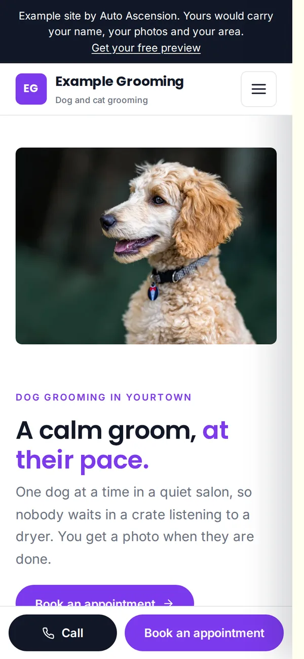 The example dog and cat grooming website on a phone.